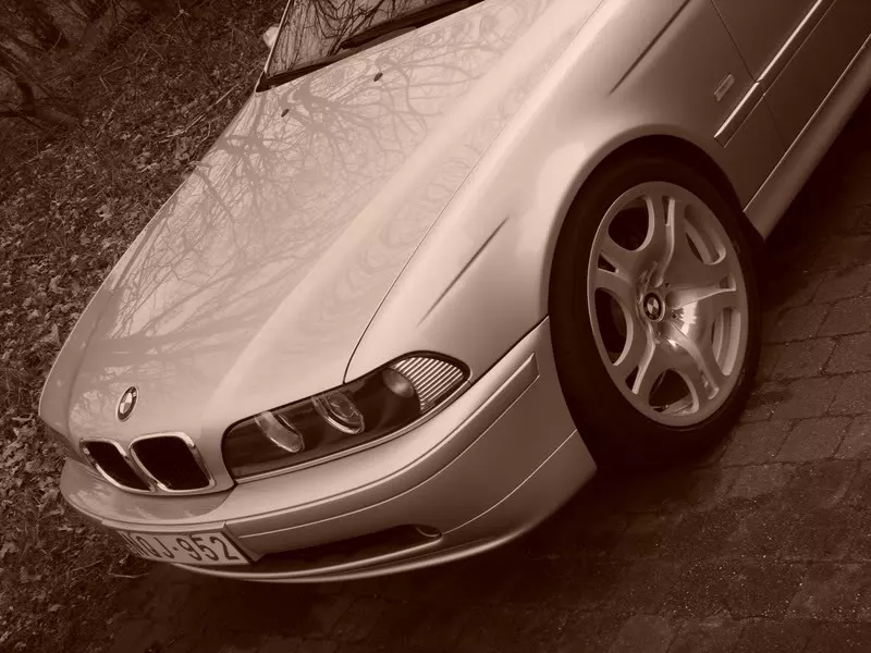 S8000519.webp
