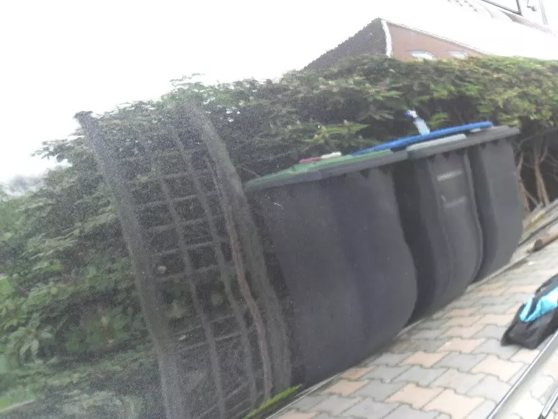 SDC10600.webp
