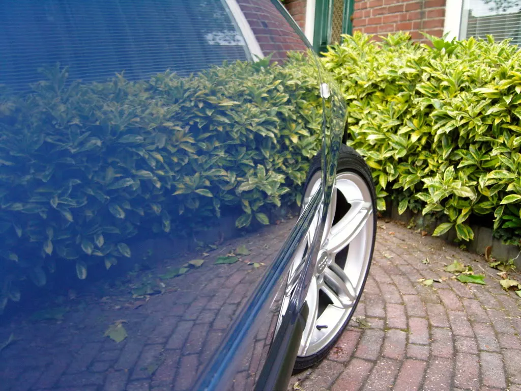 SNC10349.webp