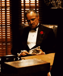 tenor (1).gif