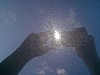 thumb.webp
