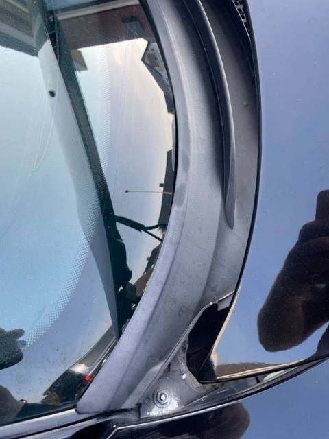 trim8.jpg