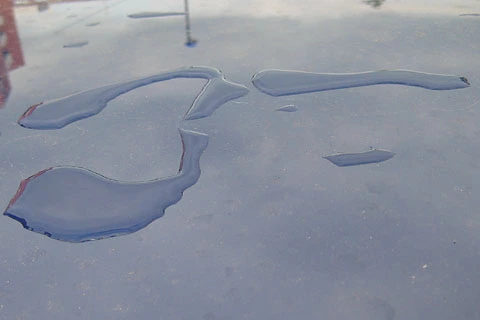 twingo_water_small.webp