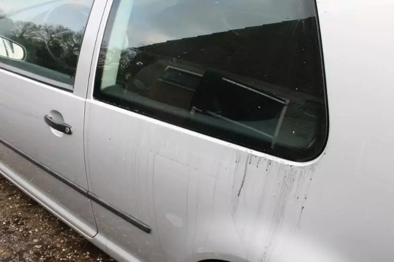 Wassen7maart015.webp
