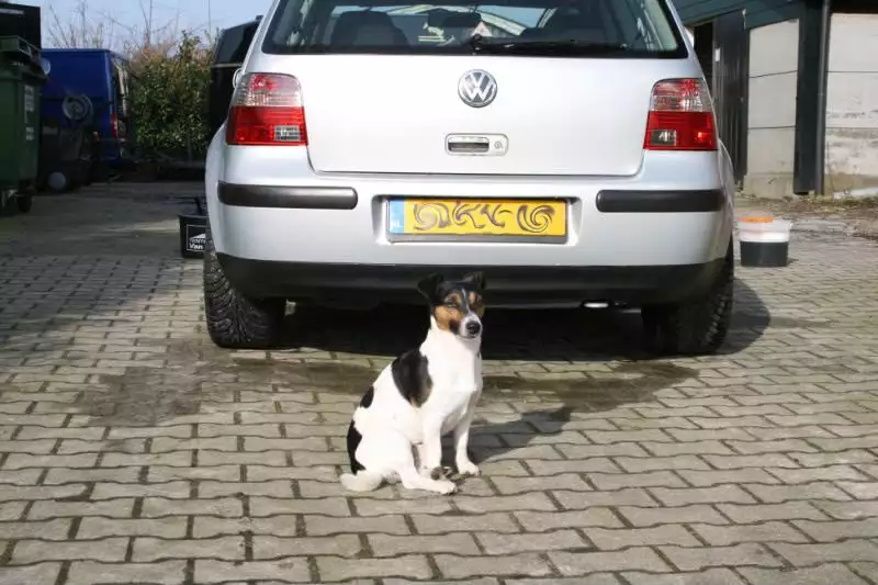 Wassen7maart018.webp
