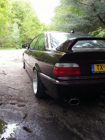 wcc2.webp