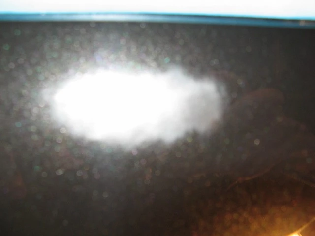 wetsand2.webp