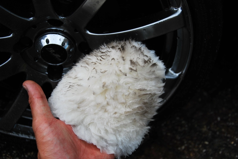 wheelmitt008.webp