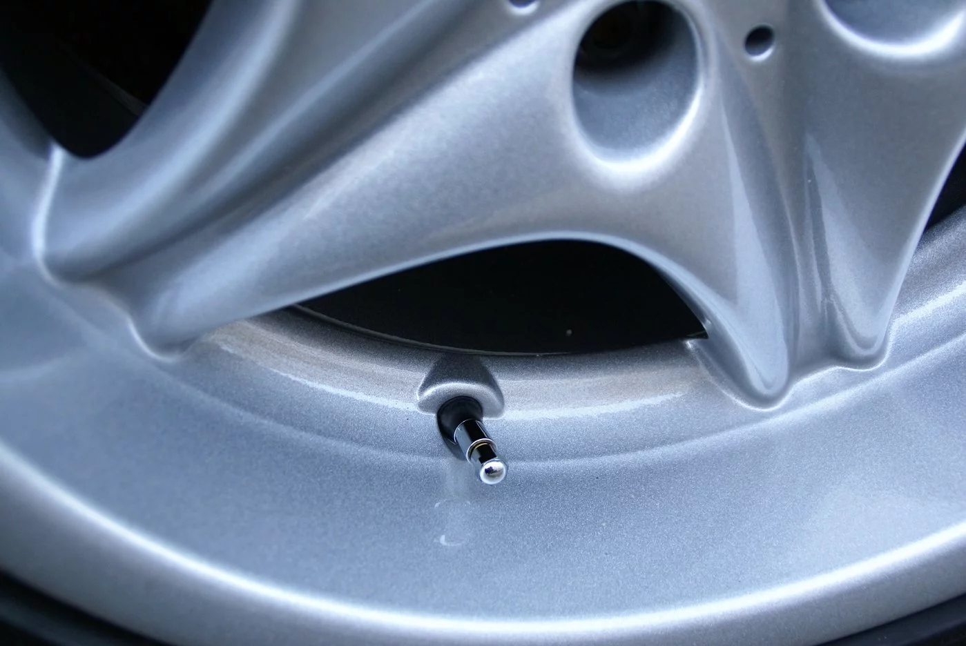 wheels2 (1).webp