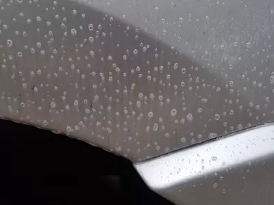 20180613_103336.jpg