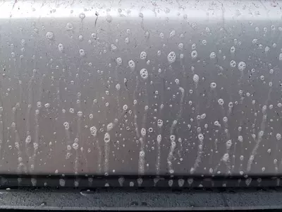 20180613_104114.jpg
