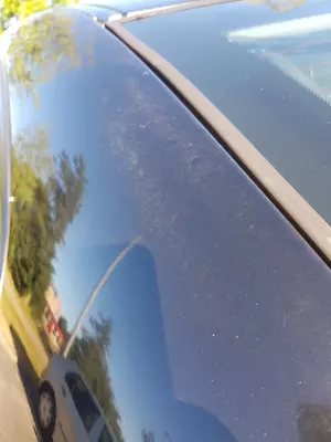 20180715_091211.jpg