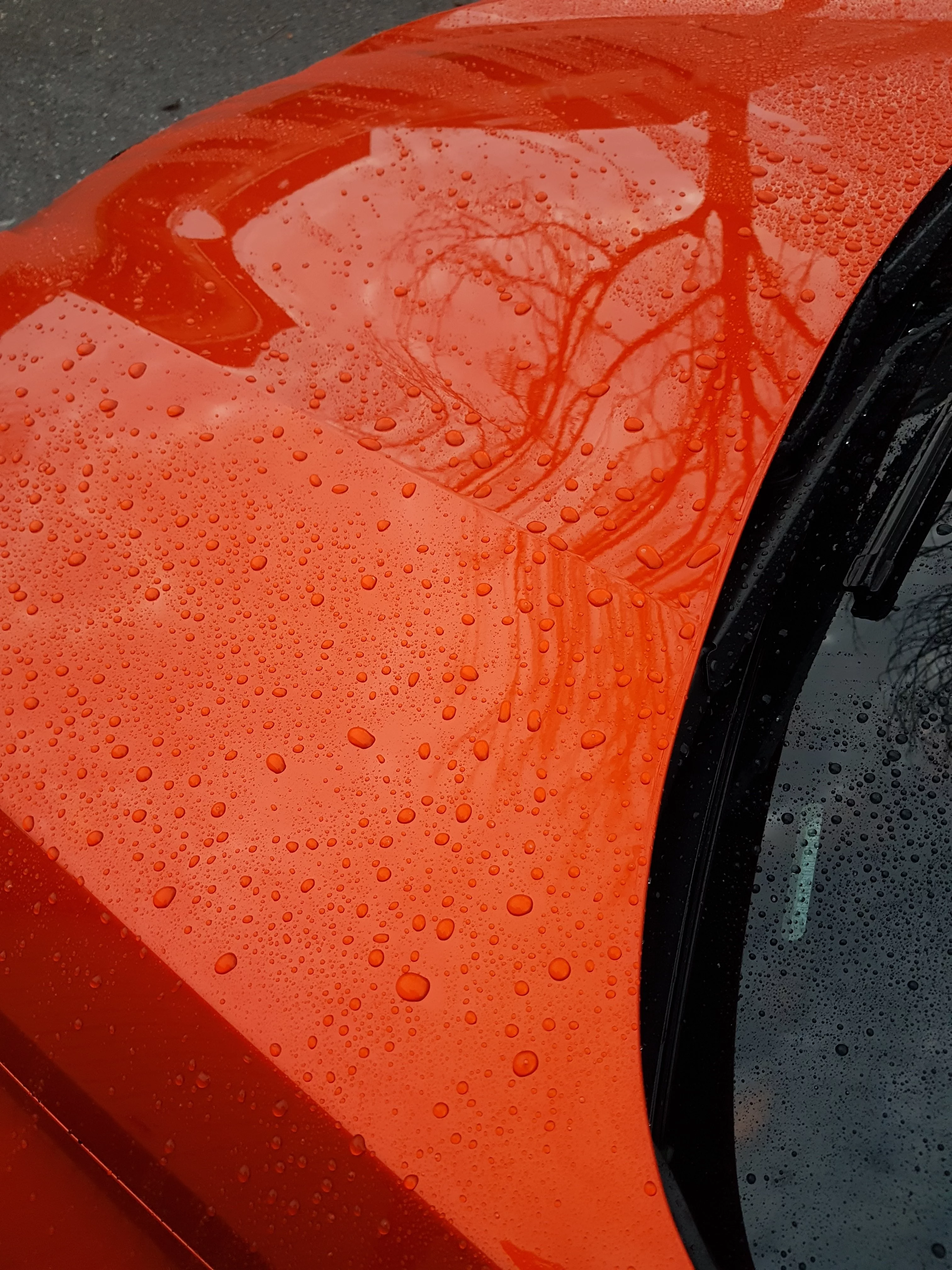 Clio ZL148R Cancoat Beading Sheeting 4.jpg Forum